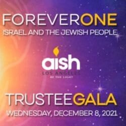 Aish Trustee Gala 2021